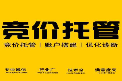 实战解析：SEM竞价策略优化案例